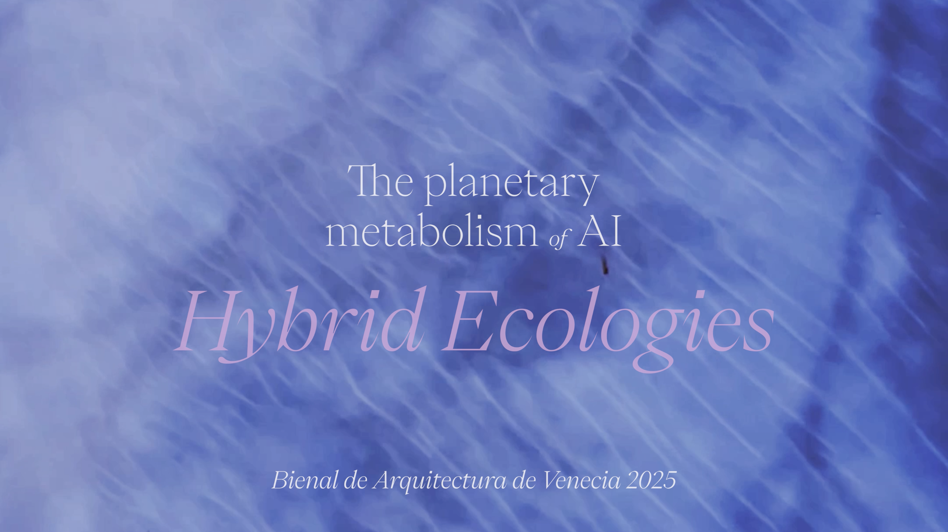 Captura de pantalla 2025-08-25 a la(s) 9.40.35 p.m.